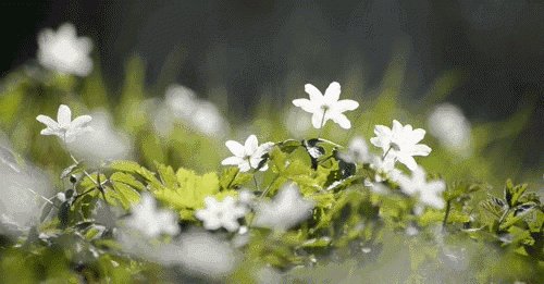 你不了解的中国制造：尚高智能马桶（技术篇）