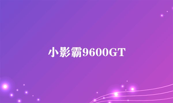小影霸9600GT
