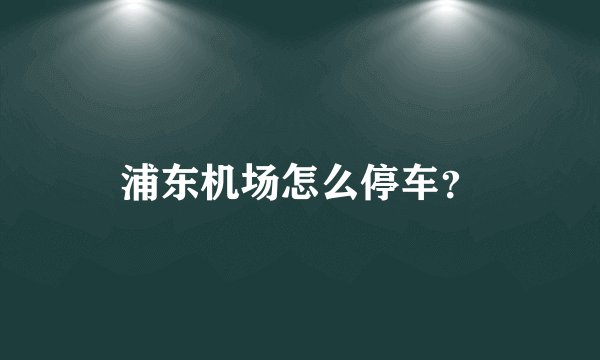 浦东机场怎么停车？