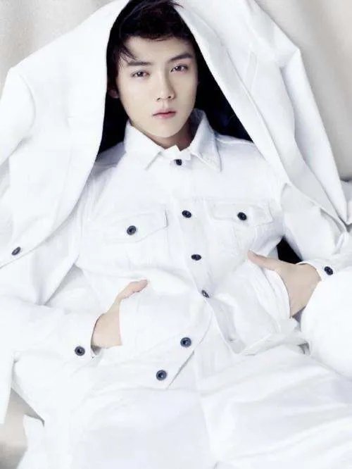 鹿晗公布恋情后掉了多少粉？