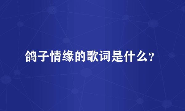 鸽子情缘的歌词是什么？