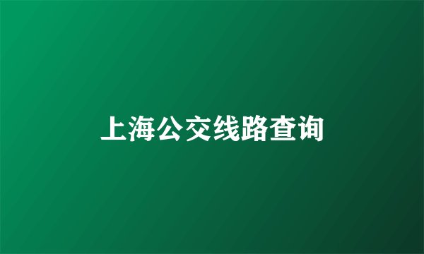 上海公交线路查询