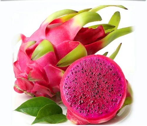 火龙果是仙人掌的果实吗  火龙果与仙人掌有哪些差异