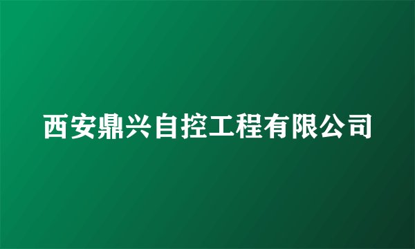 西安鼎兴自控工程有限公司