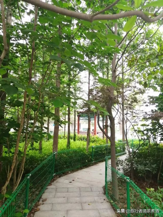 边旅行边赚钱的办法可行吗?