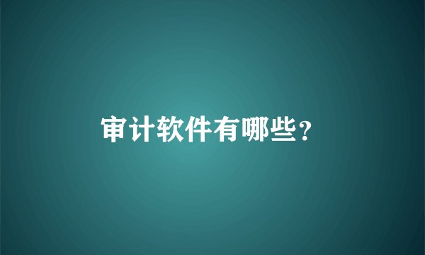 审计软件有哪些？