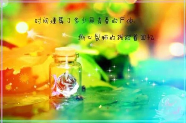 李洁和王亮的小说《夕阳情》全文完整版免费阅读