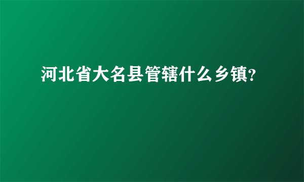 河北省大名县管辖什么乡镇？