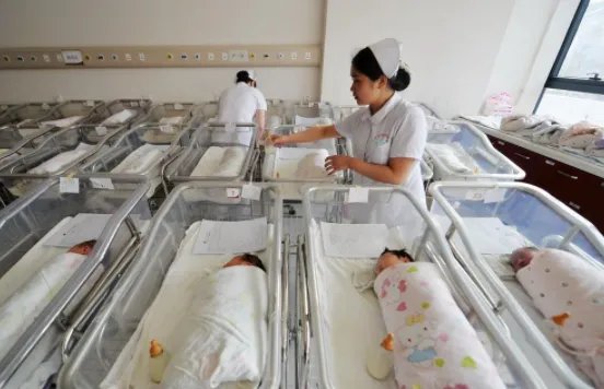 birth是什么意思