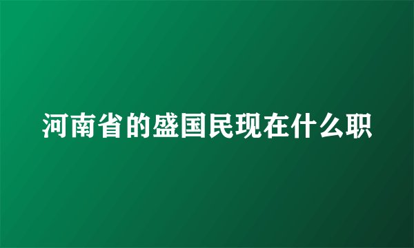 河南省的盛国民现在什么职