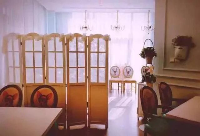 武汉有哪些非常值拍照的网红店？