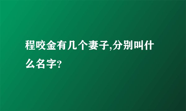 程咬金有几个妻子,分别叫什么名字？
