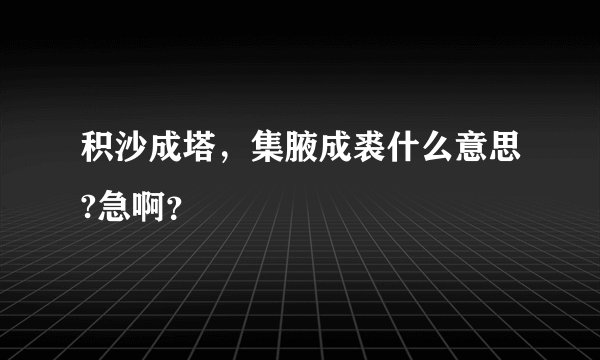 积沙成塔，集腋成裘什么意思?急啊？