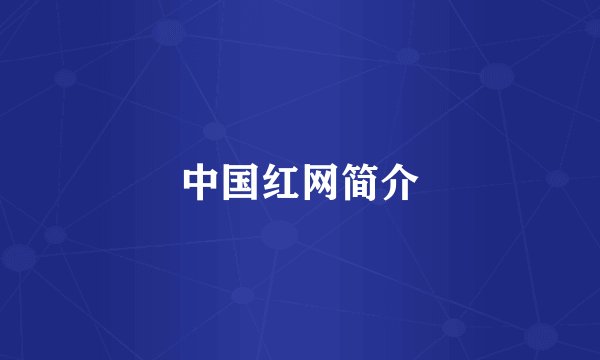 中国红网简介