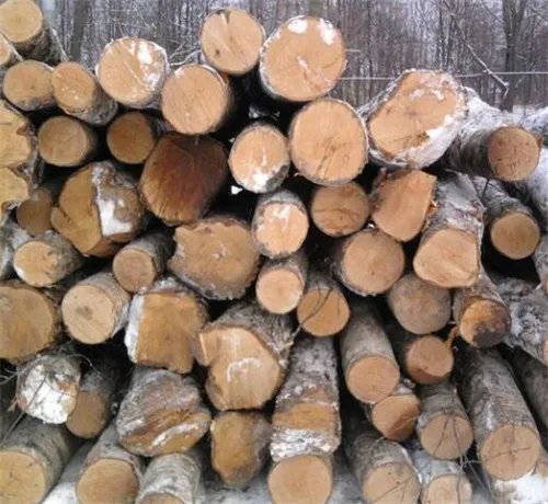 桦木和橡木哪个贵 桦木和橡木的区别分析