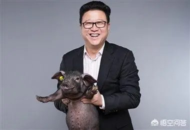 丁磊养猪，腾讯养鹅，大佬们为何“不务正业”？