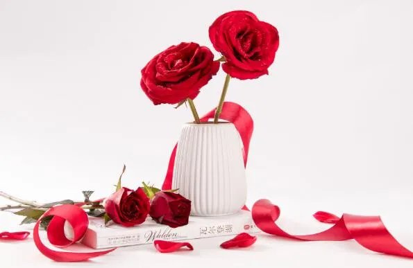 520送什么花给女朋友 520送女朋友什么花