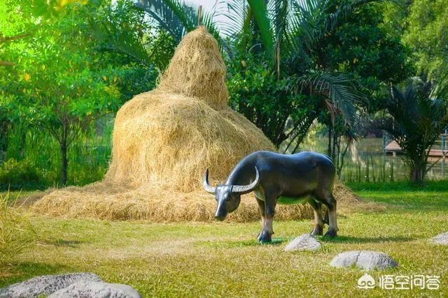 关于农业生产的俗语有哪些？