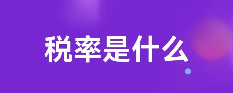 税率是什么