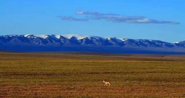 在可可西里失联小伙已离世，此事的具体情况是什么？