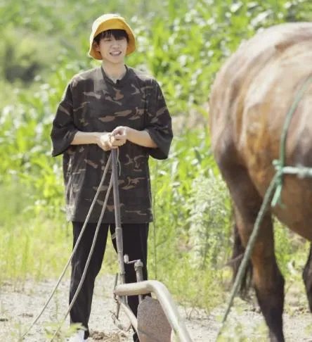 魏大勋开荒犁地什么情况 魏大勋开荒犁地是第几期