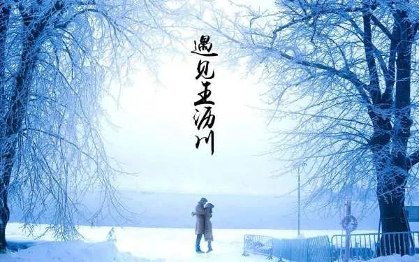 遇见王沥川评分为什么那么高