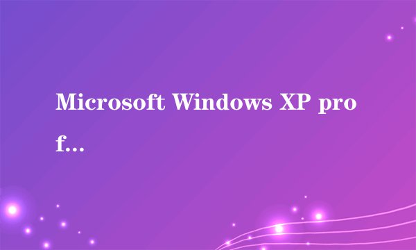 Microsoft Windows XP professional 系统和Microsoft Windows XP Prifessional SP3是一样的吗？