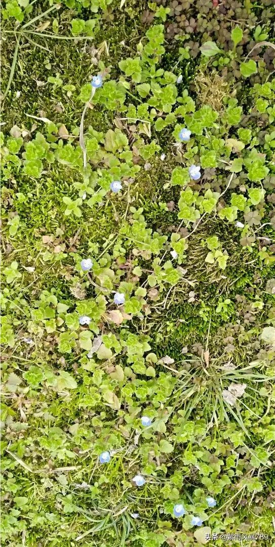 在这个三八妇女节，你对心中的女神最想说什么话？