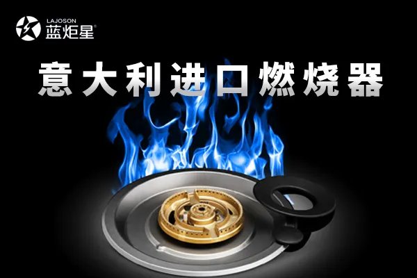 蓝炬星集成灶黑科技之Defendi上进风燃烧器