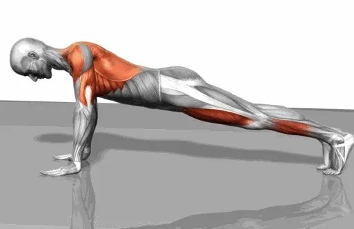 做俯卧撑会导致瘫痪吗?？？