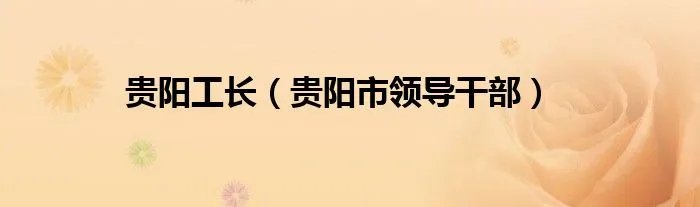 贵阳工长（贵阳市领导干部）
