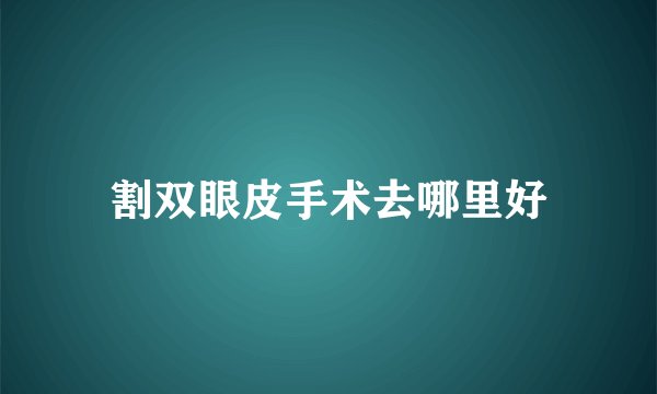 割双眼皮手术去哪里好