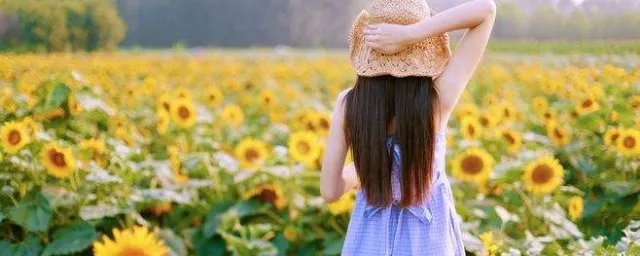 性感的名字 最性感的网名