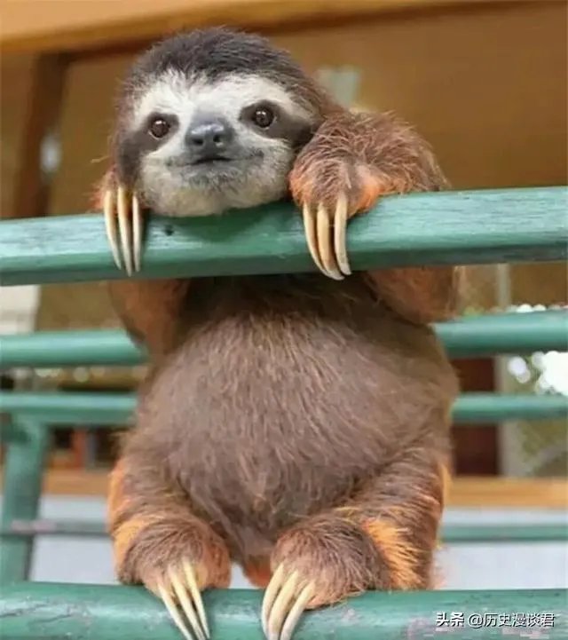 李文亮去世后，为什么各大媒体都有他的事迹？