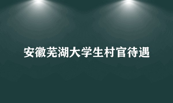 安徽芜湖大学生村官待遇