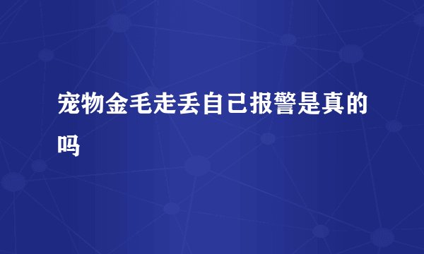 宠物金毛走丢自己报警是真的吗