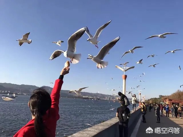 过年去云南旅游合适吗？