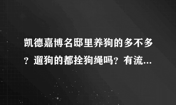 凯德嘉博名邸里养狗的多不多？遛狗的都拴狗绳吗？有流浪宠物吗？