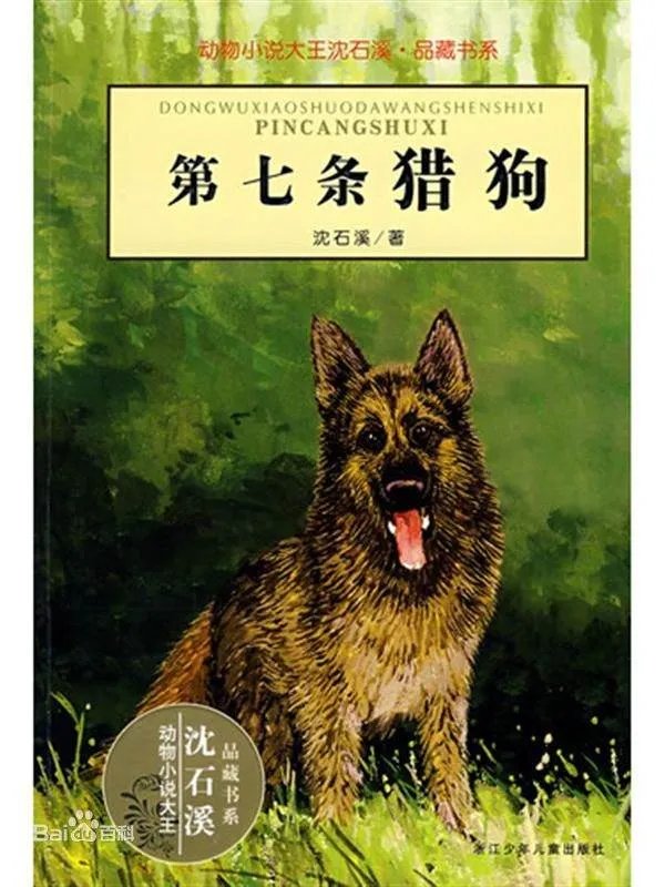 第七条猎狗的故事全文