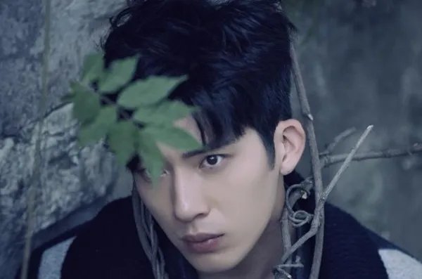 井柏然和杨洋很像