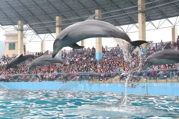 对于国庆节后旅游价格大幅跳水，游客是否有感到心理不公？