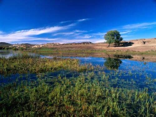 跨年怎么过？？