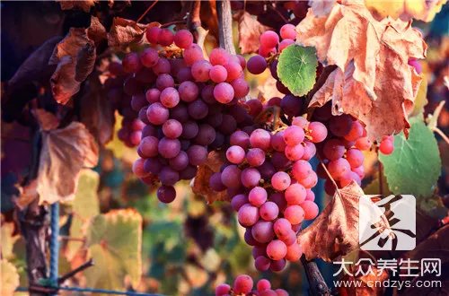  龙口有什么好吃的