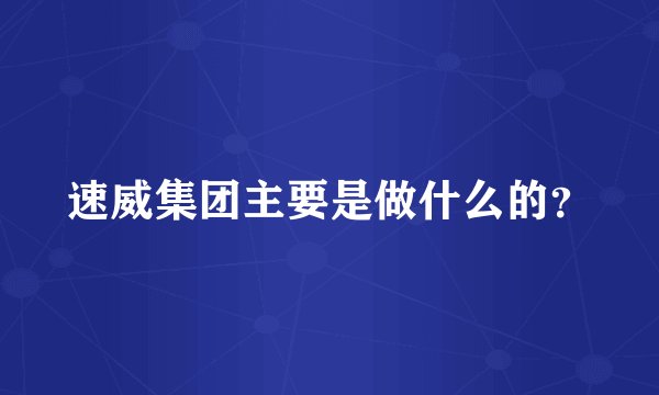 速威集团主要是做什么的？