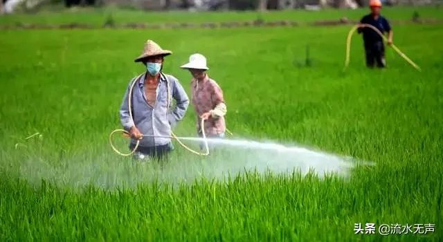 封村什么时候解封