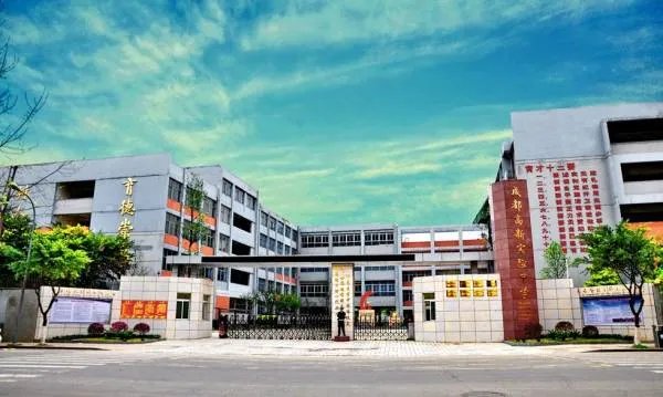 请问成都高新实验中学和成大附中哪一个学校更好