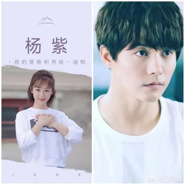 杨紫近况如何？有何最新动向？