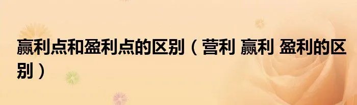 赢利点和盈利点的区别（营利 赢利 盈利的区别）