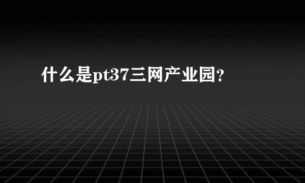 什么是pt37三网产业园？