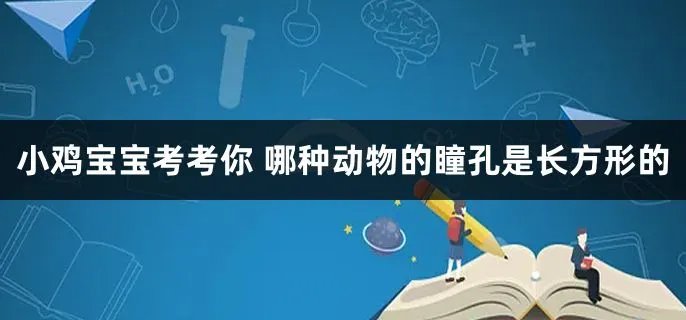  哪种动物的瞳孔是长方形的